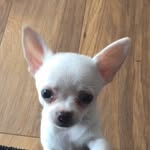 Chico and Ted Miles - @ted_chico_miles_ - Instagram