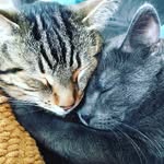 Ted & Miles Lenz - @tedandmiles - Instagram