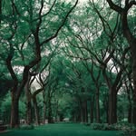 Millard Winsted - @millardwinsted - Instagram