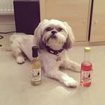 Teds Adventures - @adventuresoftedmilner - Instagram
