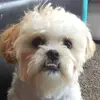 teddy.miner - @teddyminer - TikTok