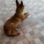 Ted Miranda - @tedmiiranda - Instagram