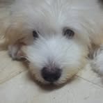 Teddy Miranda - Facebook
