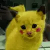 tedzmiranda - @tedzmiranda - TikTok
