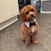 Teddy Moffett - Facebook