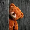 Teddymohr - @teddymohr - TikTok