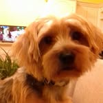 donna horscroft - @tedmollyarchie - Instagram