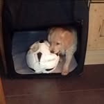 Ted Möller - @tedmoller - Instagram