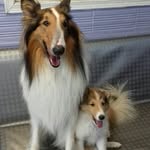 Ted y Molly - @ted_molly16 - Instagram