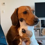 Theodore & Molly - @teddynmolly - Instagram