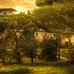 Ted Monahan - Facebook
