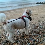@teddy.monahan - Instagram