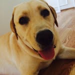 @teddymonahan - Instagram