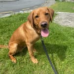 Ted Moody - @grumpy.ted - Instagram