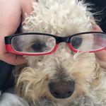 Teddy Mooney - @teddy_mooooney - Instagram