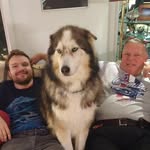 Ted Moore - @ted_mooree - Instagram