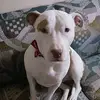 Tedmoore48 - @tedmoore48 - TikTok