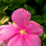 Ted Morales - @ted25936 - Instagram