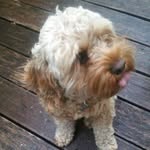 @tedmoris2 - Instagram
