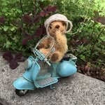 FUJISAWA YASUKO - @teddybear_morinokumappa - Instagram