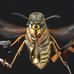Ted Morison - Facebook