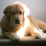Ted Morley - @tedmorley - Instagram