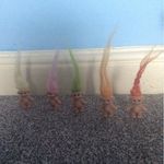 @teddie_morley - Instagram