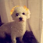 Tedrick Morley - @the_real_tedrickmorley - Instagram