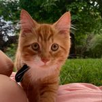 Teddy Offset Morrissey - @teddyoffset_ - Instagram