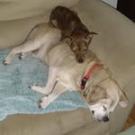 Ted Morton - @tedmorton5400 - Instagram
