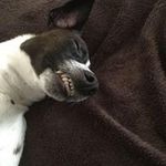 Ted Moss - @tedmoss29 - Instagram