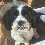 Teddy - @ted_mulligan - Instagram