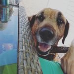 Teddy K Mullins - @teddykmullins - Instagram