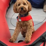 Ted Murray - @hellotedmurray - Instagram