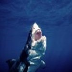 Ted Myrick - @notoriousfanted - Instagram