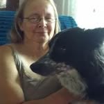 Nancy Tedone - @nancytedone - Instagram