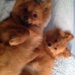 Ted And Nancy - @teddybear_and_fancynancy - Instagram