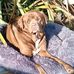 Ted Nathan - Facebook