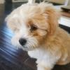 tednathan_5252 - @tednathan_5252 - TikTok