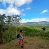 Ted Navarro - @tednavarro1 - TikTok