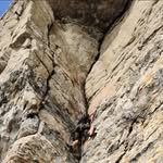 Ted Naylor - @naylor.ted - Instagram