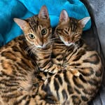 Ned and Ted - @bignedsmallted - Instagram