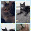 Ned ted ❤️❤️ - @uh.ned..ted_ - TikTok