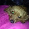 teddy needham - @teddybear_131 - TikTok