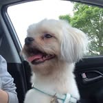 Ted & Nellie - @tedandnellie - Instagram