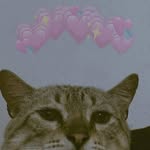Ted Nelson😺 - @ted.nellson - Instagram