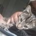 Ted Ness - Facebook