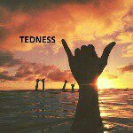 Tedness - @tedness_offical - Instagram