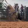 Trevor Newberry - @_tjn580 - TikTok