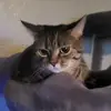 Teddy Newcomb - @teddy.newcomb - TikTok